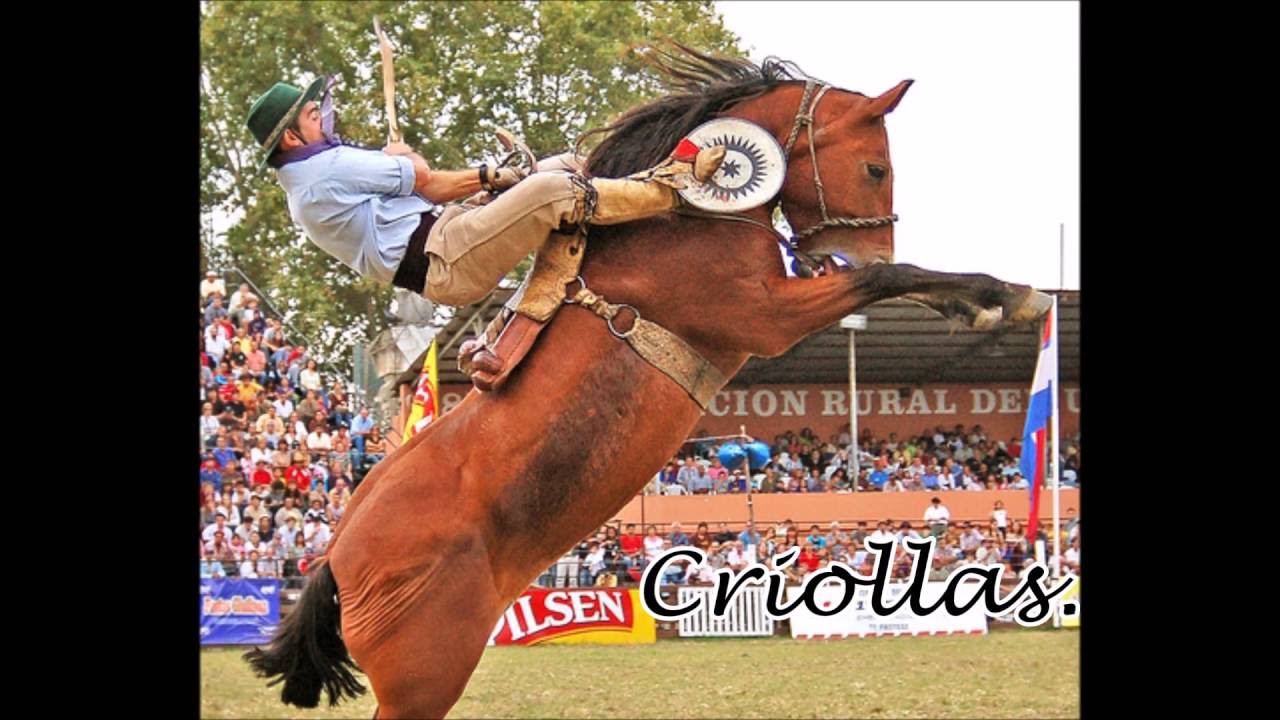 costumbres-y-tradiciones-en-Uruguay | ComunicaTech.Com