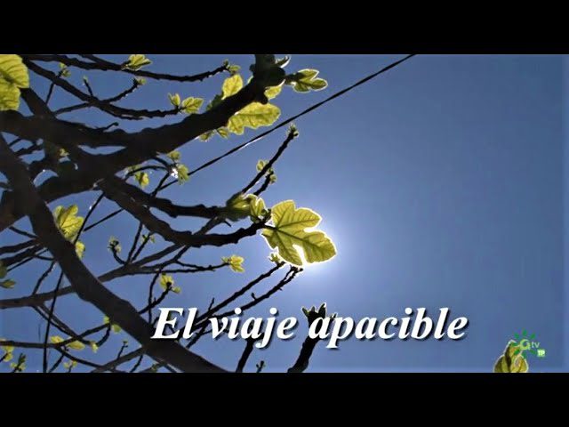 costumbres-y-tradiciones-en-Bedar | ComunicaTech.Com