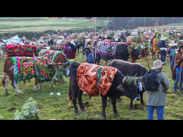 costumbres-y-tradiciones-en-San-Isidro | ComunicaTech.Com