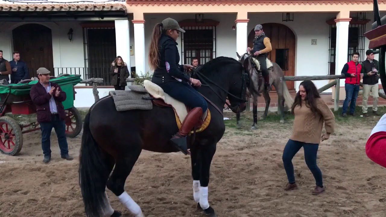 La Feria de Pentecostés en Huelva: Caballos y Flamenco en España