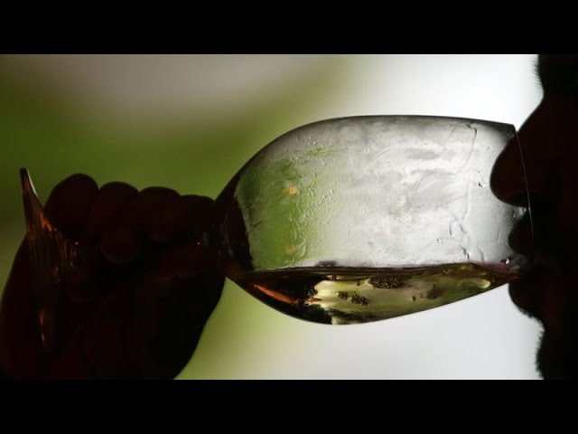 La Fiesta de la Vendimia en Oporto: Vino y Cultura en Portugal