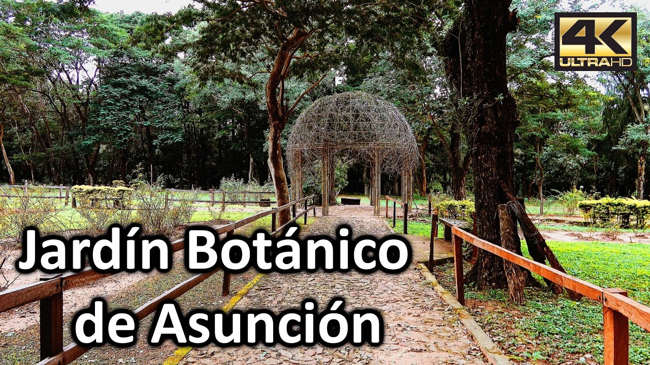 Visita virtual al Jardín Botánico de Asunción