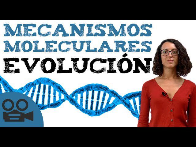 Curiosidades sobre la teoría de la evolución molecular