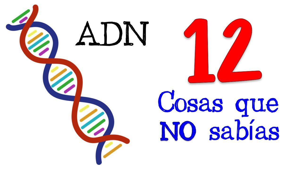 Curiosidades sobre la teoría de la información en biología