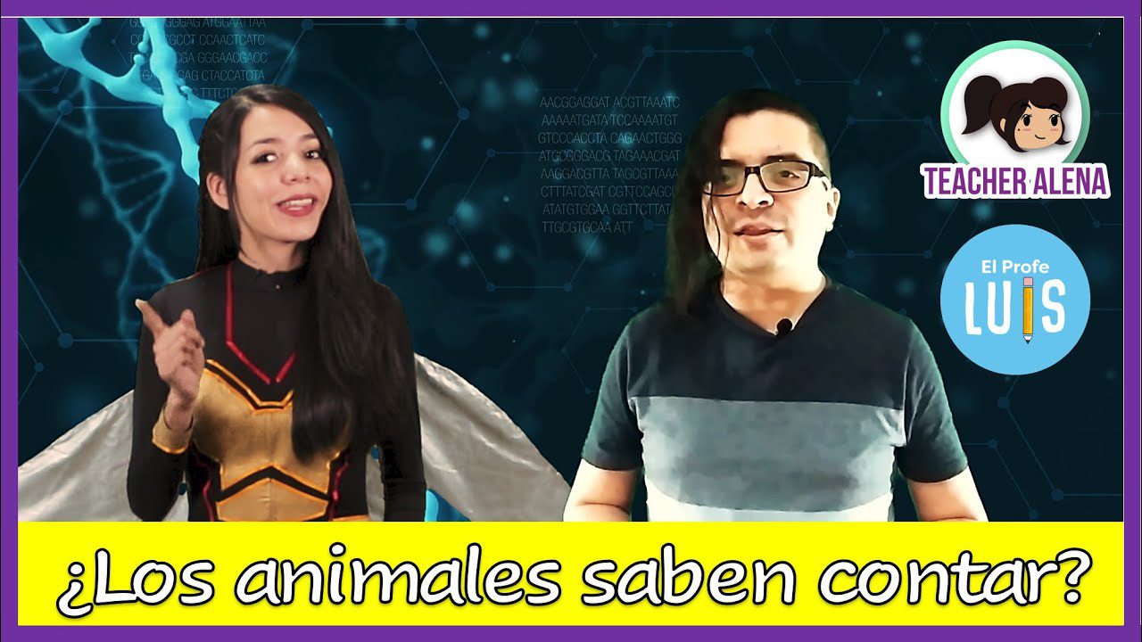 Curiosidades sobre la teoría de los números en biología