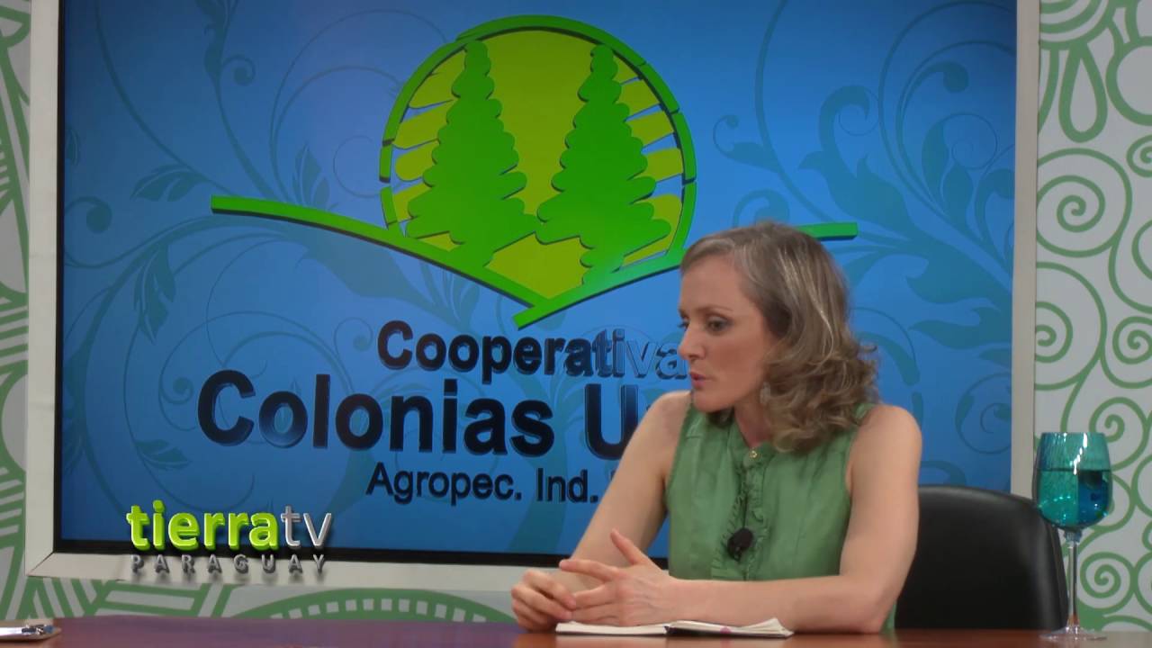 La-agricultura-en-Paraguay-Productos-y-exportaciones | ComunicaTech.Com La agricultura en Paraguay: Productos y exportaciones