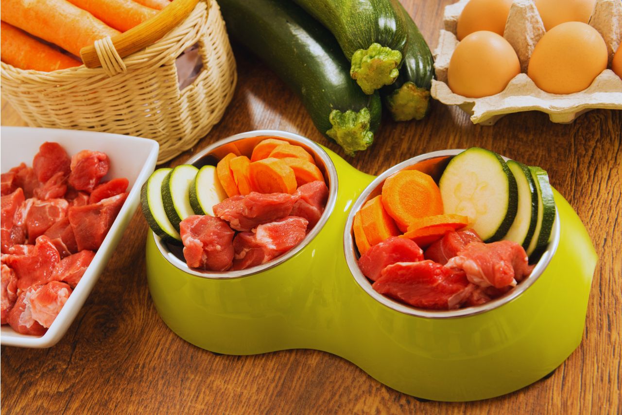 pienso perro natural greatness - IP | ComunicaTech.Com