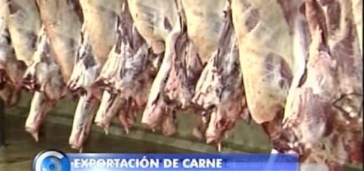 El mercado de exportación de carne en Paraguay