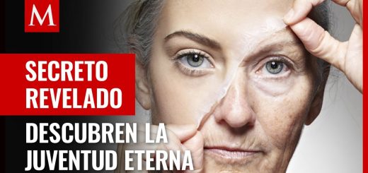 Los avances más recientes en biología del envejecimiento