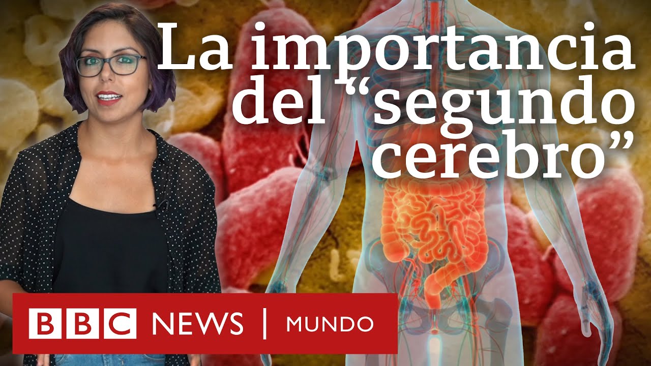 Los descubrimientos más recientes en biología de la microbiota