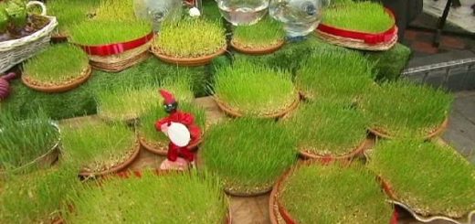 Nowruz: El Año Nuevo Persa en Irán