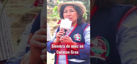 costumbres y tradiciones en 	Salines  Ses