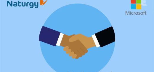 Cómo se desarrollan los sistemas de inteligencia artificial en la gestión de la energía renovable