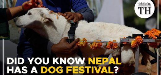 El Festival de la Primavera en Nepal