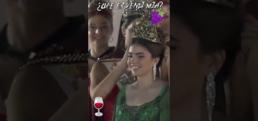 El Festival de la Vendimia en Mendoza: Vino y Tradición en Argentina
