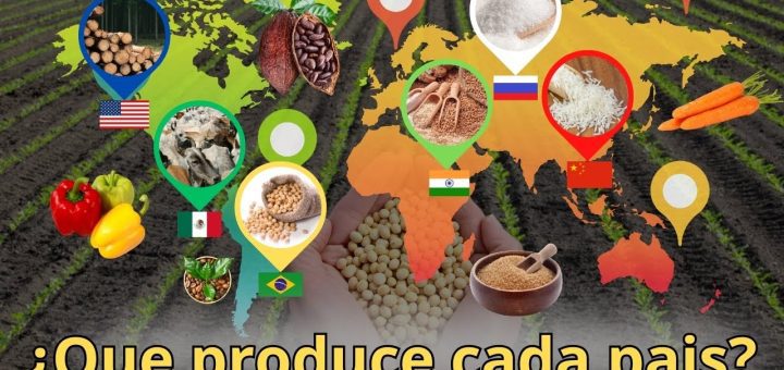 Las principales exportaciones agrícolas de Paraguay