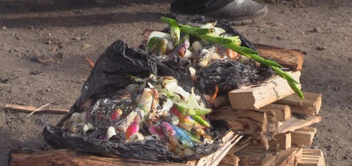 El Festival de la Pachamama en Bolivia: Tierra y Tradición