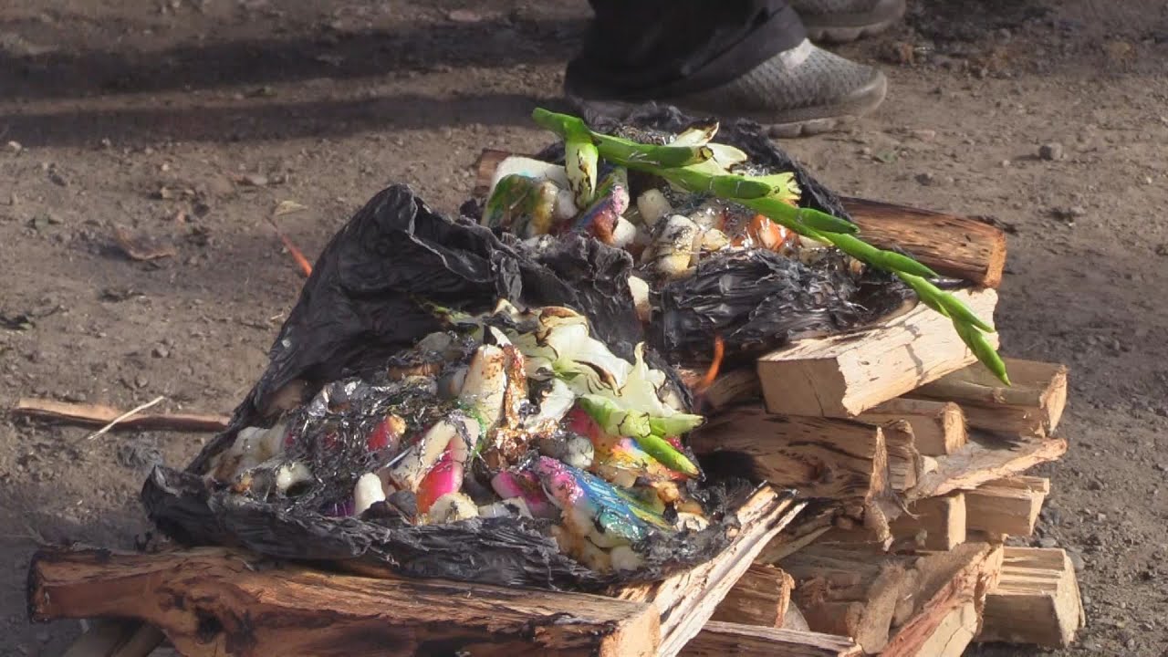El Festival de la Pachamama en Bolivia: Tierra y Tradición