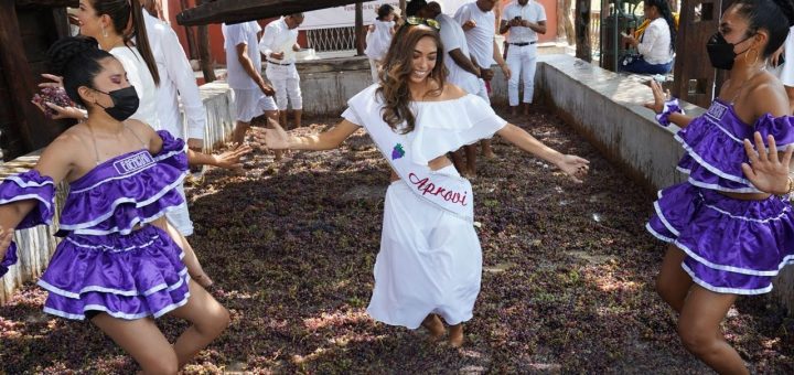 La Fiesta de la Vendimia en Uruguay: Vino y Tradición