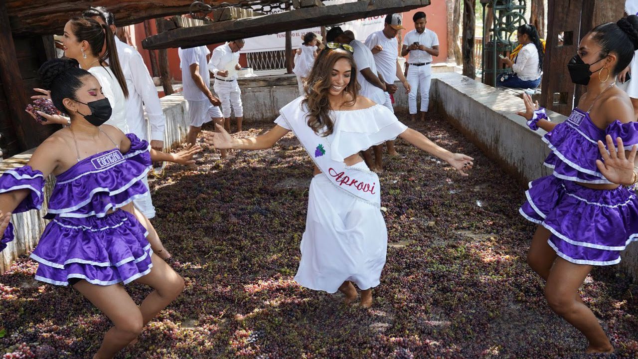 La-Fiesta-de-la-Vendimia-en-Uruguay-Vino-y-Tradicion | ComunicaTech.Com La Fiesta de la Vendimia en Uruguay: Vino y Tradición