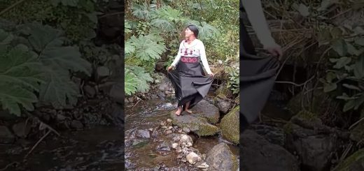 costumbres y tradiciones en 	Cerdanyola del Vallès