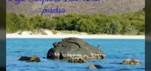 tradiciones baja california sur