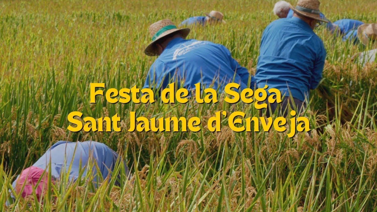 costumbres y tradiciones en 	Sant Jaume de Frontanyà