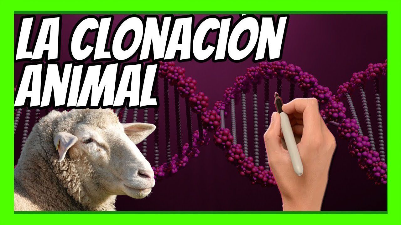 Curiosidades sobre la clonación