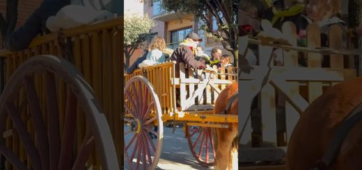 costumbres y tradiciones en 	Taradell