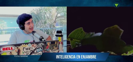 Los avances más recientes en inteligencia de enjambre