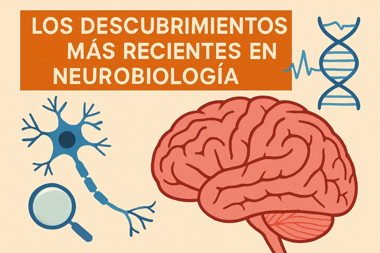 Los-descubrimientos-mas-recientes-en-neurobiologia | ComunicaTech.Com Los descubrimientos más recientes en neurobiología