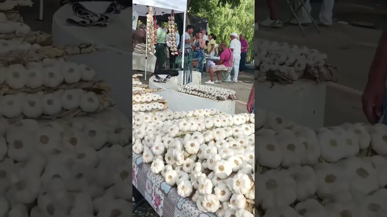 costumbres y tradiciones en 	Castrojeriz